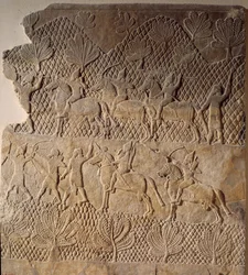 Sztuka orientalna starożytności: scena bitwy. Płaskorzeźba z pałacu Aszurbanipala, Asyria (VII wiek p.n.e.). Paryż, Musée du Louvre