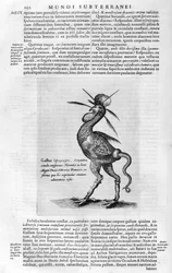 Mityczne stworzenia, 1678.