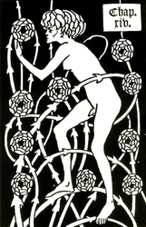 hermafrodyta wśród róż z Le morte d