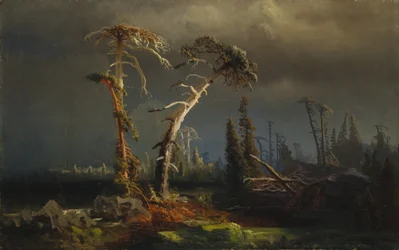 Rising storms - ginący prastary las w burzach (olej na płótnie)