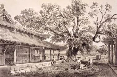 Świątynia Buddy na przedmieściach Honan w Kantonie, tablica 24 ze „Szkiców Chin”, rytowana przez Eugene Ciceri (1813-90) 1842 (podbarwiony lit)