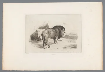 Lew Un vieux lew (tytuł na obiekcie) akwaforty francuskie z 1874 r. (tytuł serii) L