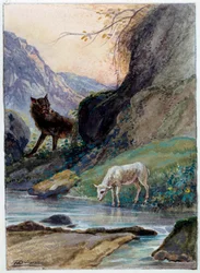 Ilustracja do bajki „Wilk i baranek” autorstwa Jean de La Fontaine. Akwarela Auguste Delierre (1829-c.1890)