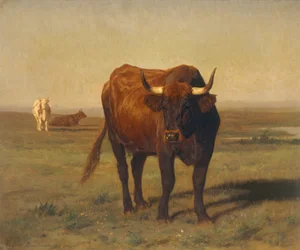 Bydło w krajobrazie