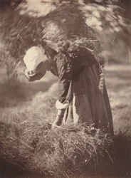 Chłop, ok. 1870.