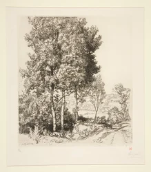 Dolina Petit Morin niedaleko Verdelot (Seine-et-Marne) (Mała dolina Morin niedaleko Verdelot [Seine-et-Marne])