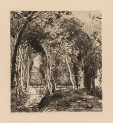 Auguste Lepère: Zarośla w La Rigonette (Vendèe)