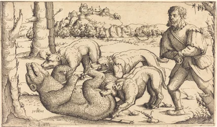 Polowanie na niedźwiedzie, 1545.