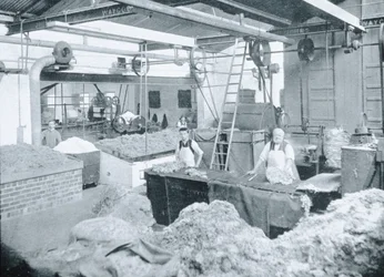 Interior of a Hat Mill, Victoria, ok. 1900, z książki „Pod Krzyżem Południa – Przebłyski Australii”, opublikowanej w 1908 r.