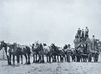 Zespół noszący wełnę, Australia Zachodnia, ok. 1900, z książki „Pod Krzyżem Południa – Przebłyski Australii”, opublikowanej przez Department of External Affairs, Melbourne, 1908