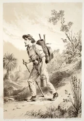 Digger on the Tramp, z Historii Australazji Davida Blaira, McGrady, Thomson i Niven, 1879