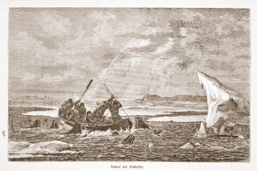 Walka z morsem, 1876