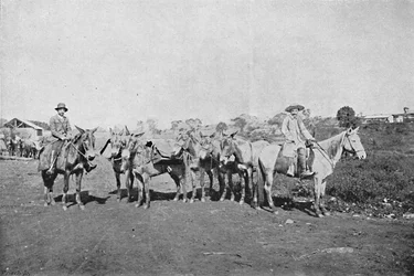 Handlarze wnętrza, Handlarze wnętrza, 1895