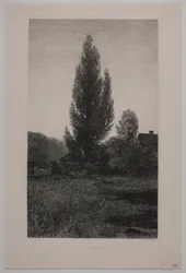 Duński: Sommeraften