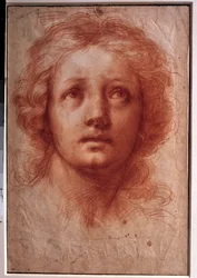 Studium kobiecej głowy, nieruchome spojrzenie zwraca się w górę Rysowanie tuszem i farbą Franceschini Baldassare dit il Volterrano (1611-1689). XVII wiek. Ciemny. 0,42x0,28m. Paryż, Luwr
