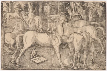 Grupa Siedmiu Koni, 1534.