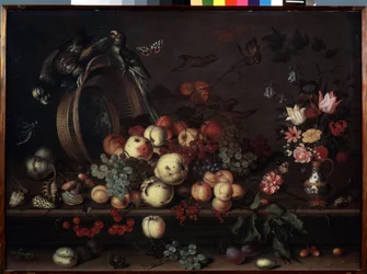 "Martwa natura z owocami, kwiatami i papugami" (zwana również "Martwa natura z owocami, muszlami i owadami") Obraz Balthasara van der Asta (1593/4-1657) ok. 1620 Wymiary 75x104 cm Ermi Museum