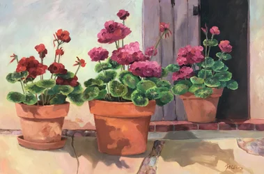 Geranium Seria 2, ok. 1990-2005 (olej na płótnie)
