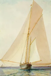 Booming w Light Zephyr (akwarela na papierze)