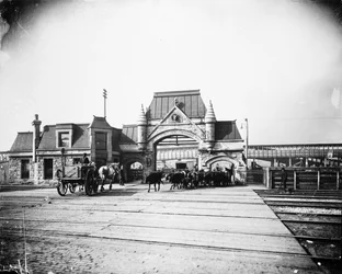 Brama Union Stock Yards na Exchange Avenue, Chicago, Illinois, USA, ok. 1905 (zdjęcie czarno-białe)