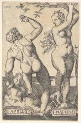 Odwrotna kopia Apollo i Daphne.n.d.