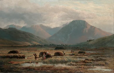Torfowisko, Letterfrack, Connemara