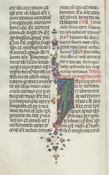 Mszał: Fl. 22v: Liście z rybami, 1469.