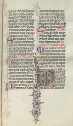 Mszał: Fl. 260: Liście z owocami, 1469.