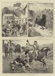 Polowanie na jelenie w Surrey