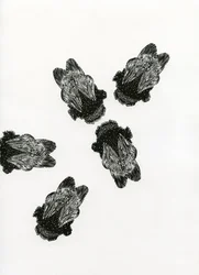 Spotkanie trzmieli, 2013 (drewno na papierze)
