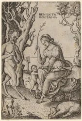Rodzina Satyrów