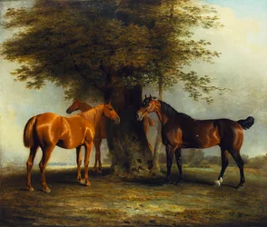 Łowcy w Grass, 1801
