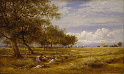 Angielski Hayfield, 1878.