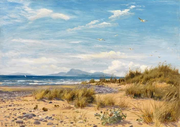 Wybrzeże Carnarvonshire