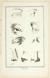 Projekt: Anatomia twarzy z Encyclopédie