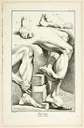 Projekt: Nogi i stopy, z Encyclopédie