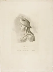 Rzeźniczka, z Arts et Métiers