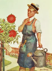 Książę Walii, późniejszy Edward VIII (druk)