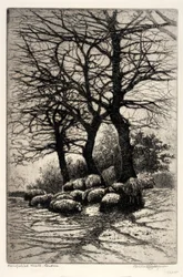 Hampstead Heath, Londyn