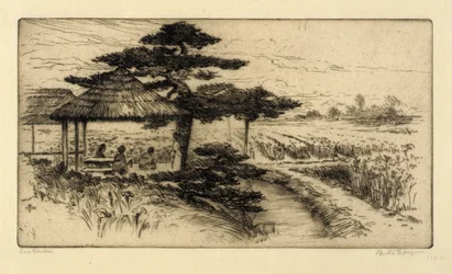 Ogród irysów