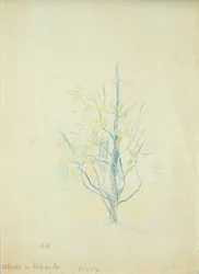 Krzaki nad jeziorem, 1893 (ołówek kolorowy na papierze)