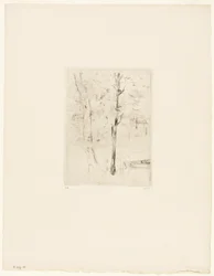 Jezioro w Bois de Boulogne