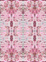 Burgandy Rose, 2015 (mixed media, ilustracja, digital)