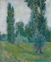 Francuski: Krajobraz topoli w Giverny