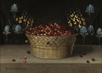 Martwa natura z wiśniami, łubinem i irysem, ok. 1610 (olej na płótnie)