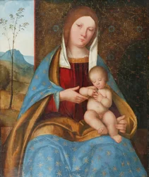Madonna z Dzieciątkiem (olej na desce)