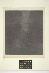 Moonlight Woods (tusz na papierze)