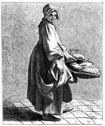 Świeża Sałatka!, 1737-1742.