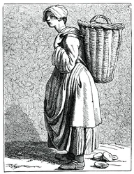 Ostrygi w muszli!, 1737-1742.