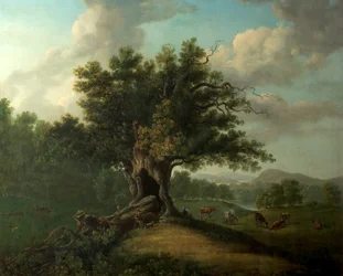 Dąb w Moccas Park, Herefordshire (olej na płótnie)